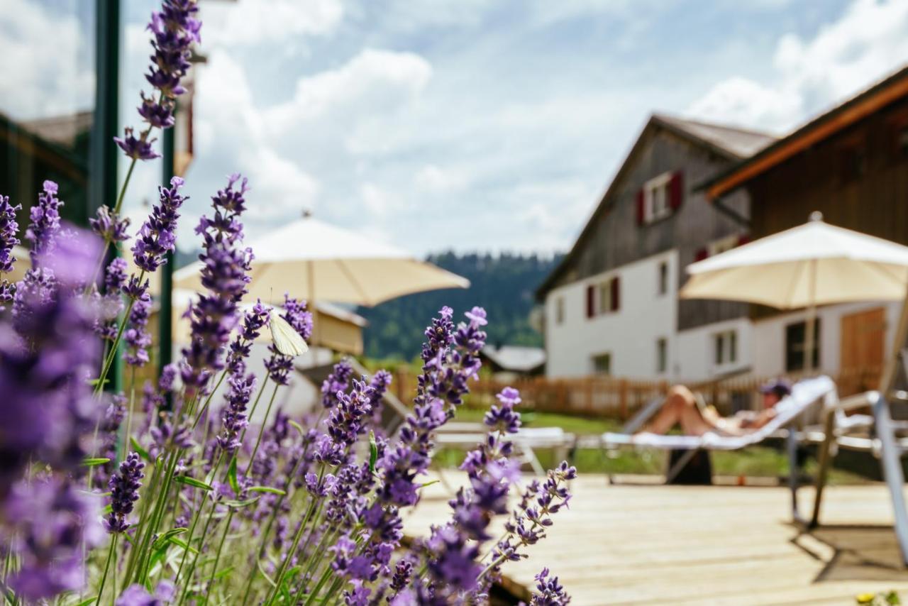 Hirschen Wohlfuehlhotel Шоппернау Экстерьер фото